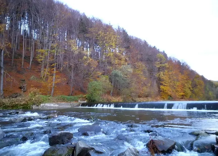 Apartment Wislany Brzeg